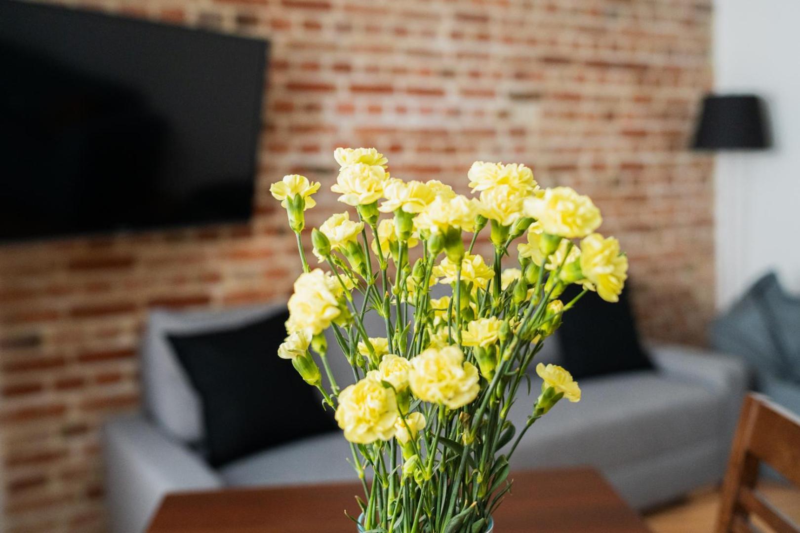 Big Apart - Nice Design - 3 Rooms - Wroclaw City Centre Εξωτερικό φωτογραφία